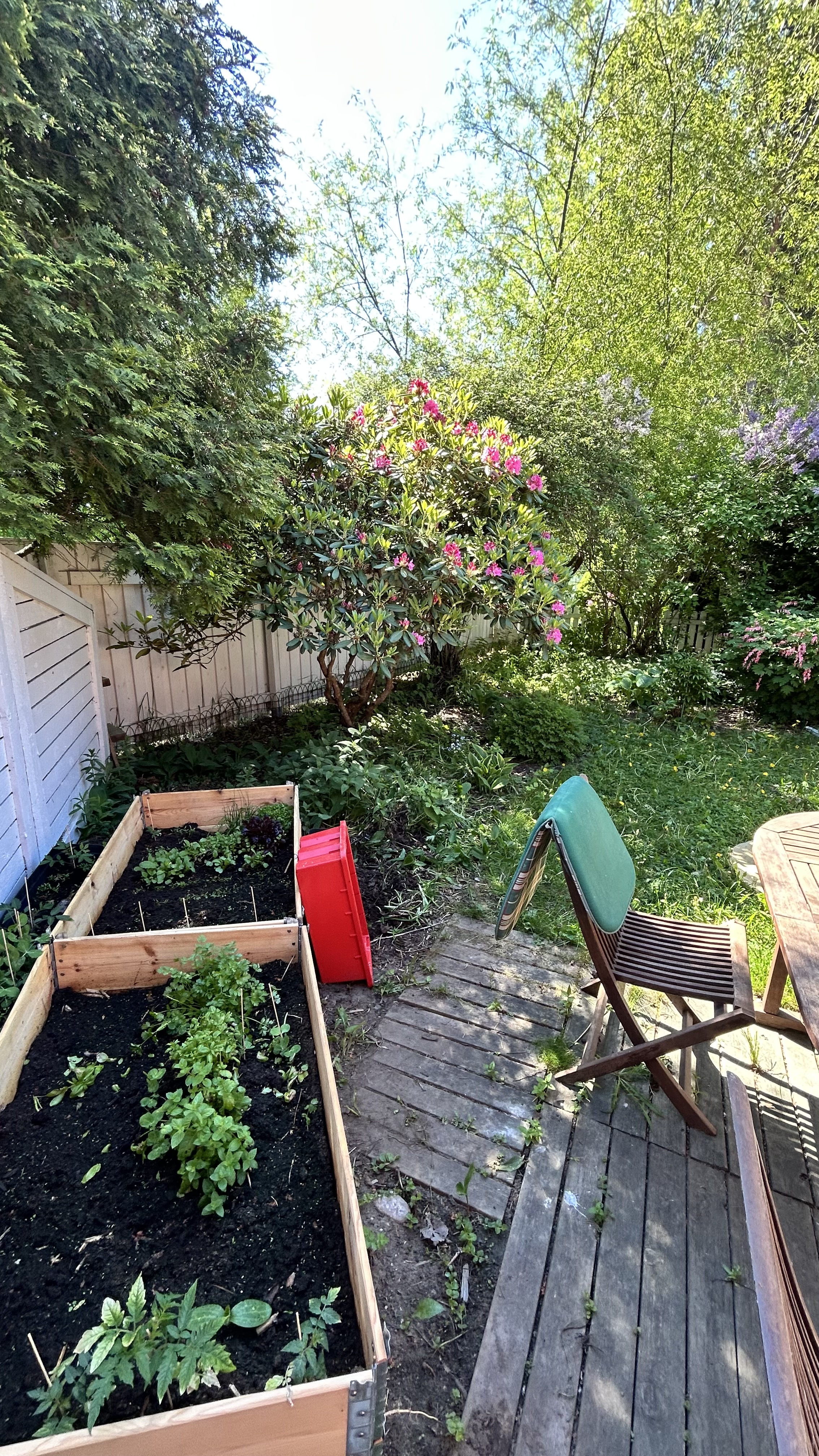 My small vegetable and herb garden